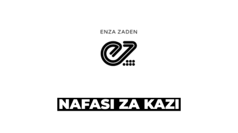 Enza Zaden Tanzania Ltd