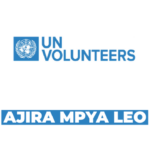 Bundibugyo Virus Disease (BVD) Preparedness Officer at UN Volunteer – July 2026