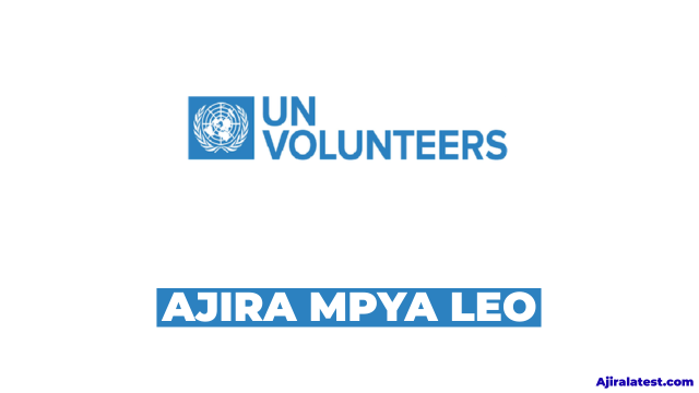Bundibugyo Virus Disease (BVD) Preparedness Officer at UN Volunteer – July 2026