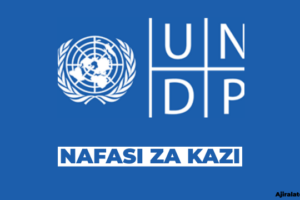 UNDP Tanzania