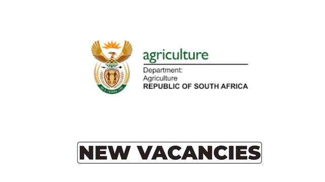Department of Forestry Forestry Services Aid Vacancy 2026 – Eastern Cape | Grade 9, No Experience Required